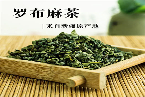 罗布麻茶