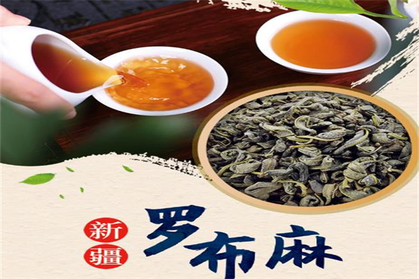 罗布麻茶