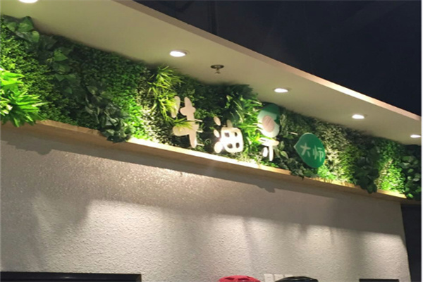 牛油果大师 牛油果大师