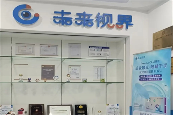 未来视界眼镜