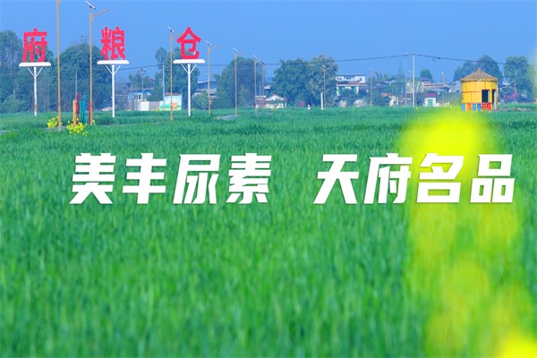 美丰加蓝尿素 美丰加蓝尿素