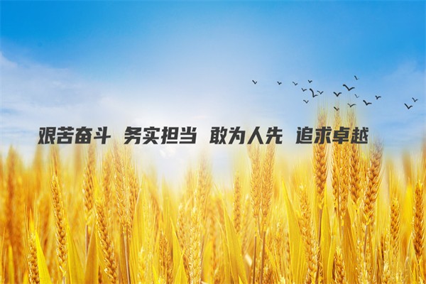 美丰加蓝尿素 美丰加蓝尿素