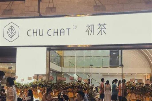 增城初茶