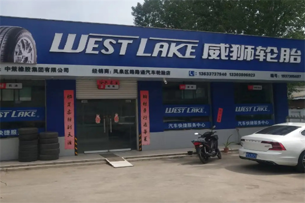 威狮轮胎 威狮轮胎