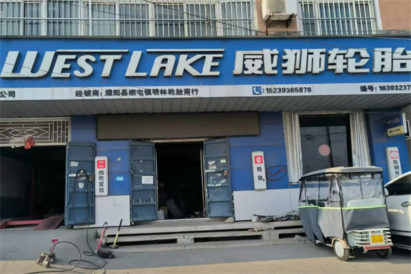 威狮轮胎 威狮轮胎