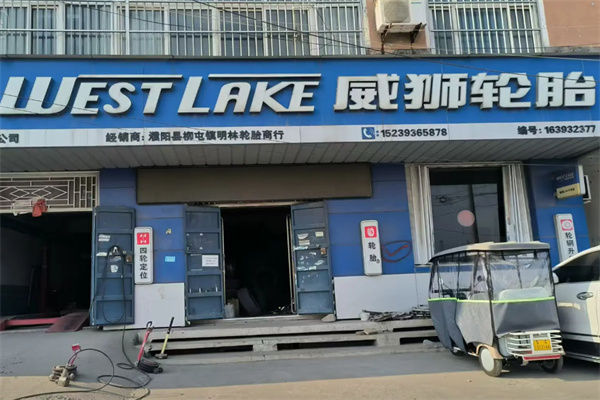 威狮轮胎 威狮轮胎