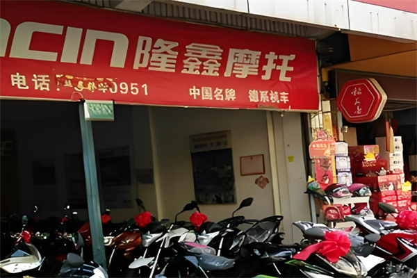 隆鑫摩托车 隆鑫摩托车
