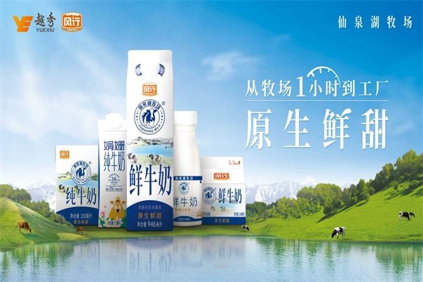 风行鲜牛奶加盟