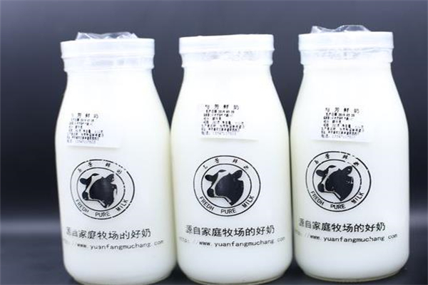 与芳鲜奶店加盟