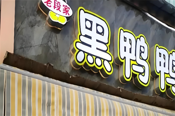 老段家黑鸭鸭