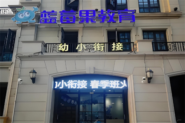 蓝莓果学前班