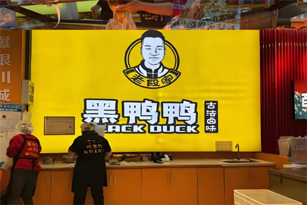 老段家黑鸭鸭