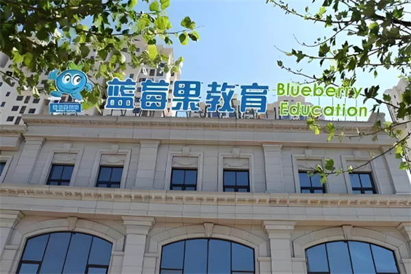 蓝莓果学前班