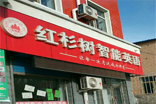 红杉树英语