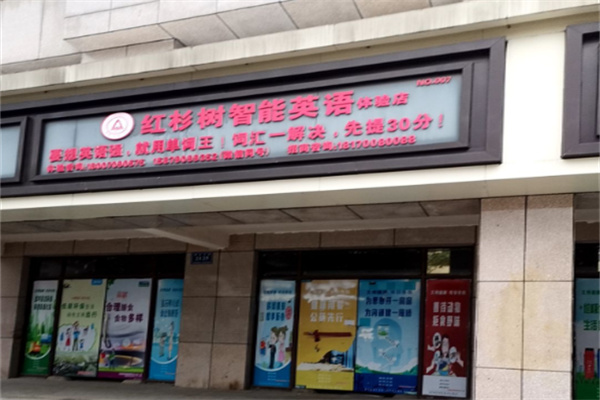 红杉树英语