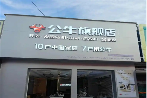 公牛 公牛