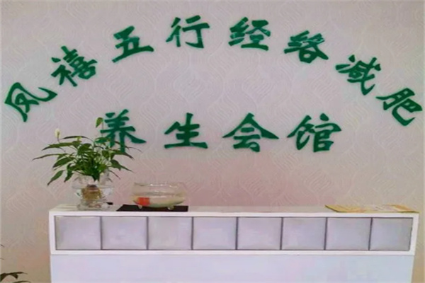 凤禧经络养生 凤禧经络养生
