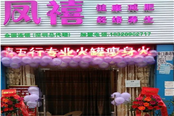凤禧经络养生 凤禧经络养生