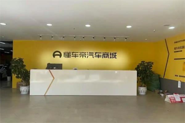懂车帝线下体验店 懂车帝线下体验店