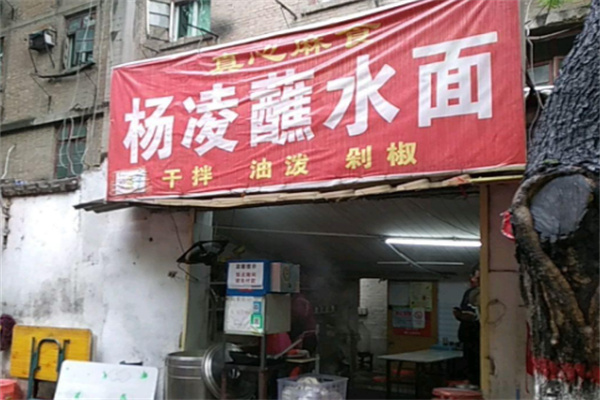 杨凌蘸水面
