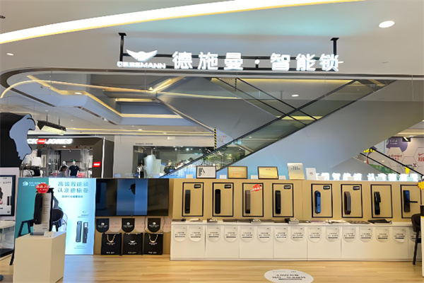 德施曼智能锁 德施曼智能锁