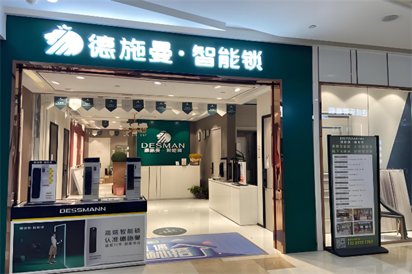 德施曼智能锁 德施曼智能锁
