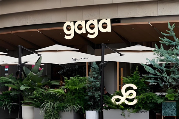 gagagarden gagagarden 