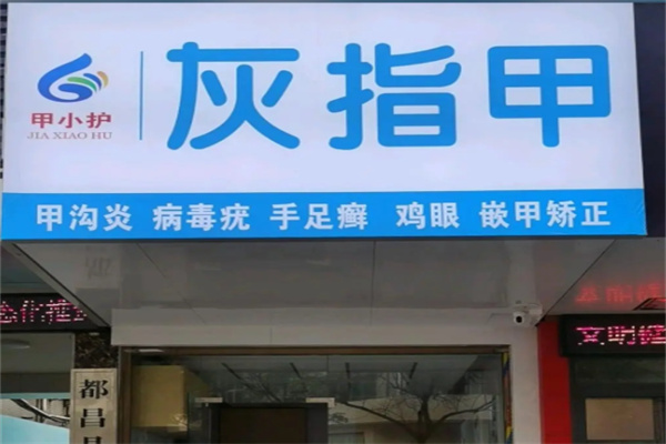 甲小护