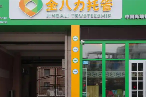金八力教育