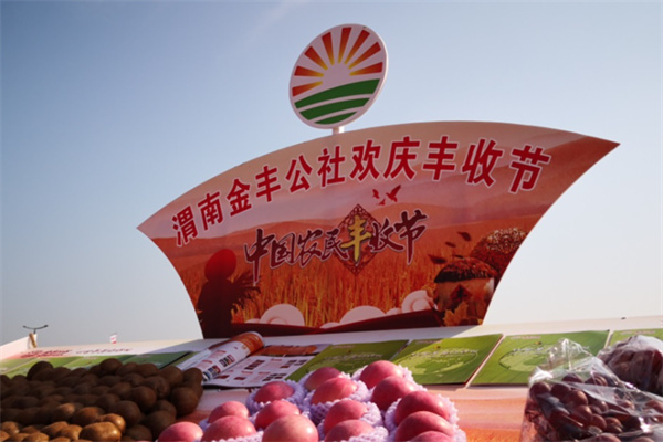金丰公社 金丰公社