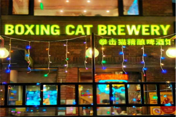 拳击猫