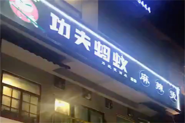 功夫蚂蚁 功夫蚂蚁