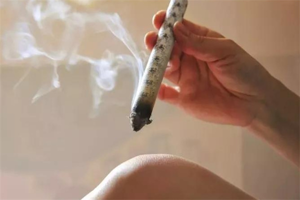 裹灸艾灸