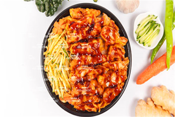 土耳其烤肉饭 土耳其烤肉饭