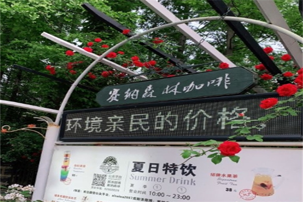 塞纳森林咖啡