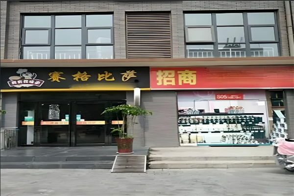 赛格比萨加盟