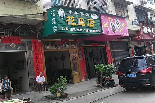 老年茶馆 老年茶馆