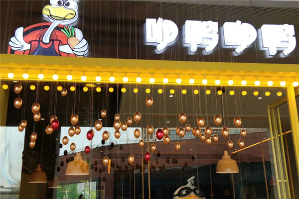 咿鸭咿鸭果蔬焖鸭