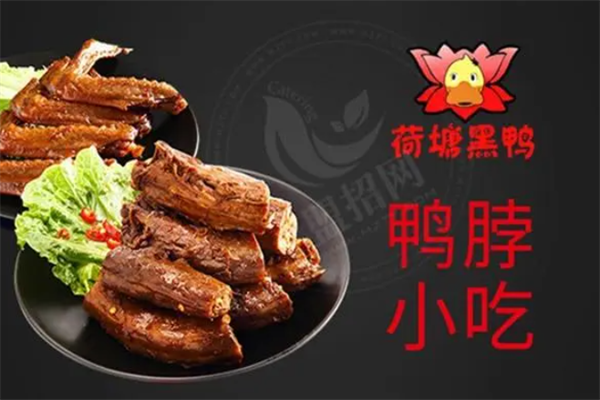 荷塘黑鸭