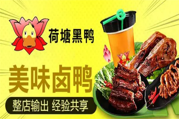 荷塘黑鸭
