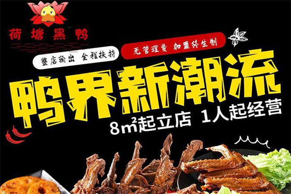 荷塘黑鸭
