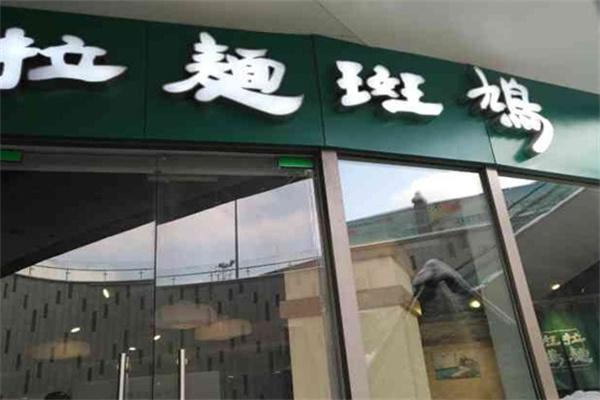 拉面斑鸠