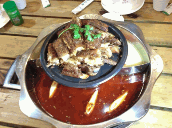 蒙古大营