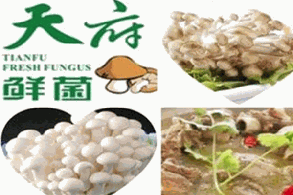 天府鲜菌特色汤锅