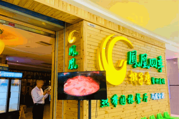 凤凰四季椰子鸡 凤凰四季椰子鸡