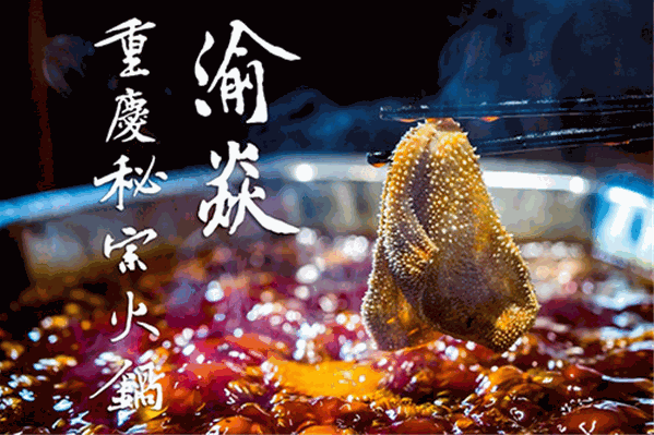 渝焱重庆秘宗火锅 渝焱重庆秘宗火锅