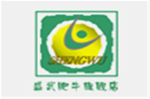 盛武肥牛品牌logo