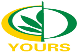 YOURS年糕火锅品牌logo