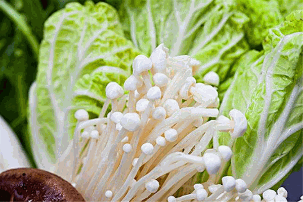 焱格格蔬食料理火锅 焱格格蔬食料理火锅