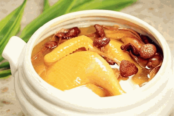 好伙夫菌汤鸡